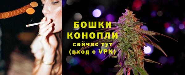 дмт Ельня