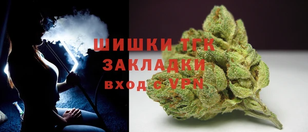 ГАЛЛЮЦИНОГЕННЫЕ ГРИБЫ Дмитриев