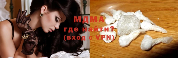 ГАЛЛЮЦИНОГЕННЫЕ ГРИБЫ Дмитриев
