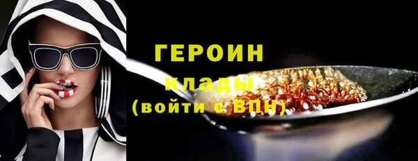 ГАЛЛЮЦИНОГЕННЫЕ ГРИБЫ Дмитриев