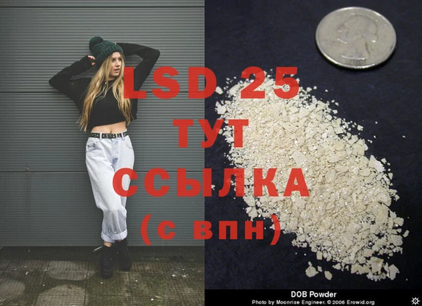 ГАЛЛЮЦИНОГЕННЫЕ ГРИБЫ Дмитриев