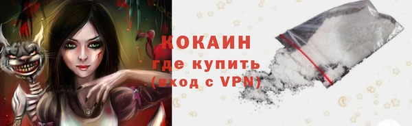 ГАЛЛЮЦИНОГЕННЫЕ ГРИБЫ Дмитриев