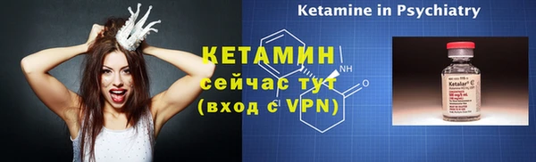 ГАЛЛЮЦИНОГЕННЫЕ ГРИБЫ Дмитриев