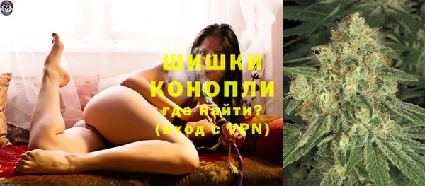 соль ск Дмитров