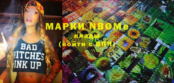 соль ск Дмитров