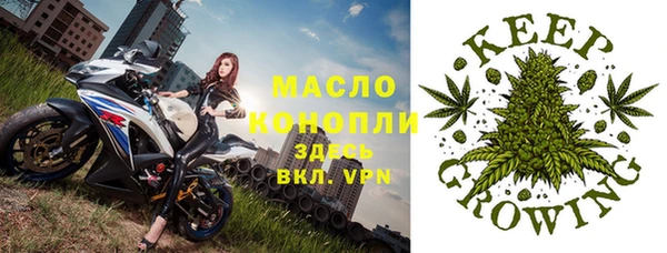 ГАЛЛЮЦИНОГЕННЫЕ ГРИБЫ Дмитриев