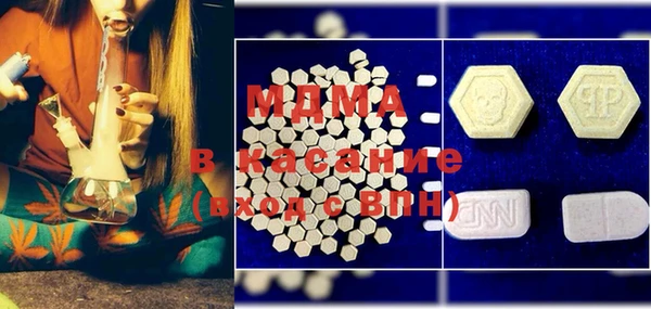 ГАЛЛЮЦИНОГЕННЫЕ ГРИБЫ Дмитриев