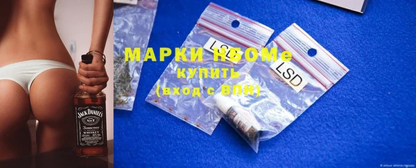 ГАЛЛЮЦИНОГЕННЫЕ ГРИБЫ Дмитриев