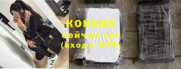 соль ск Дмитров