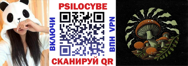 Галлюциногенные грибы Psilocybe Вяземский